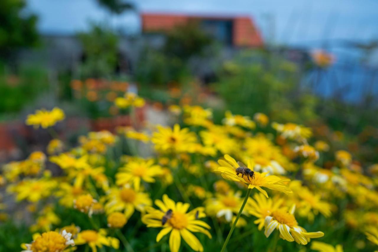 Casas Da Vereda Estreito Da Calheta Quarto foto